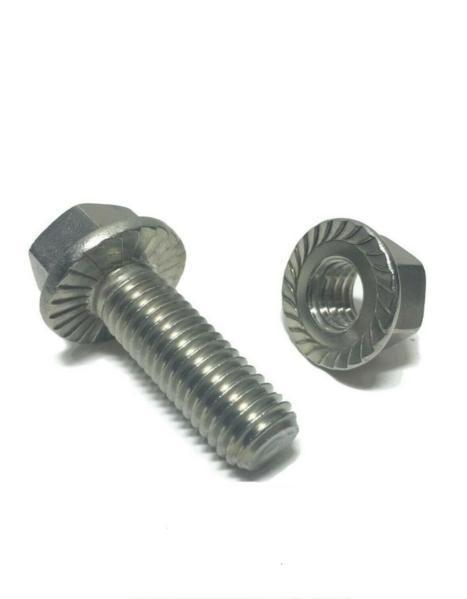 1/4"-20 x 1/2" StaInless Steel Hex Cap Serrated Flange Bolts with nuts